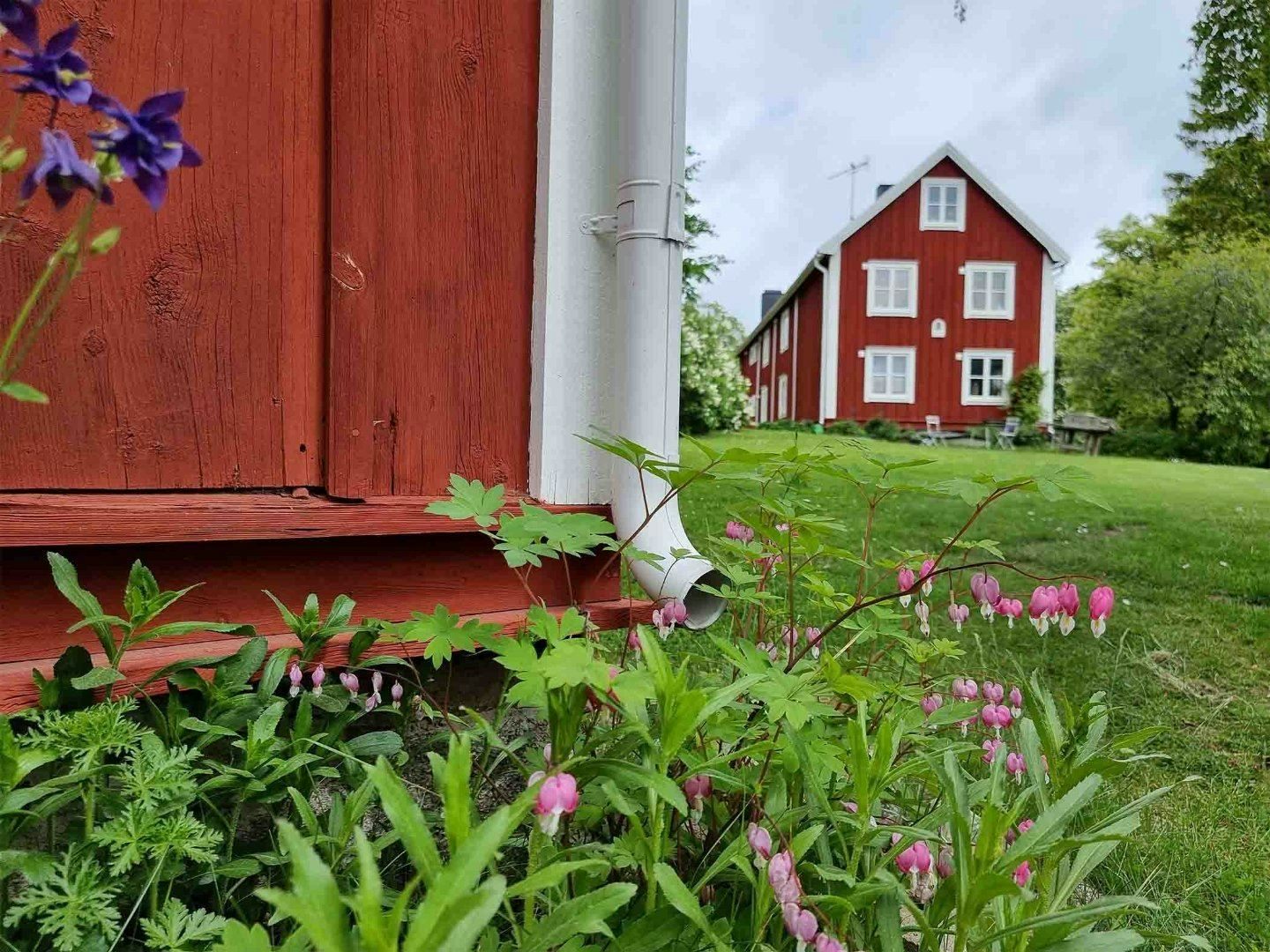Charmigt rött trähus i lantlig miljö, omgiven av blomster och grönska.