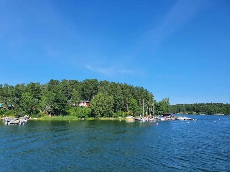 Småbåtshamn vid grönskande skog och blå sommarhimmel.