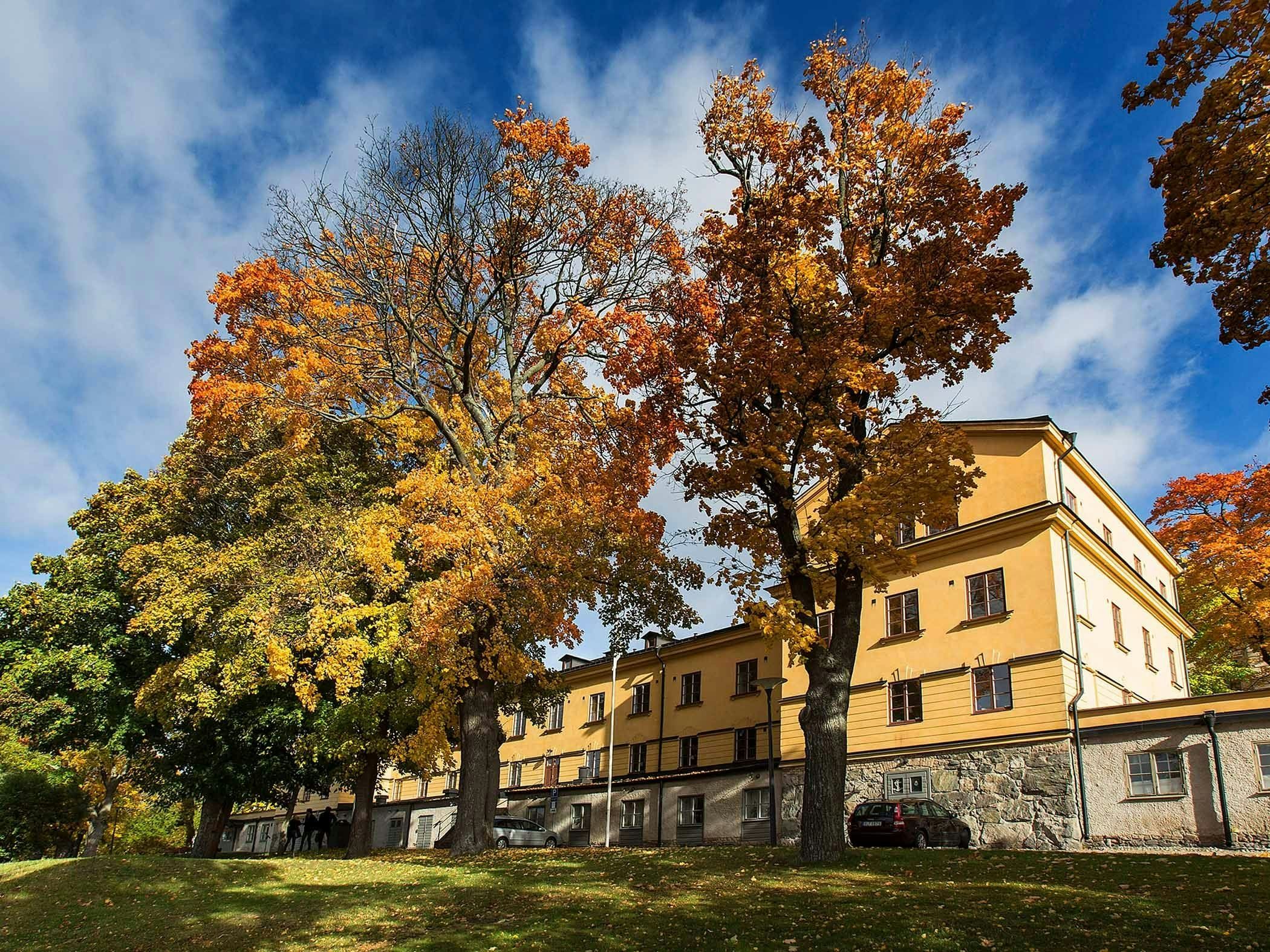Yellow apartment building with outdoor seating surrounded by autumn-colored trees.
