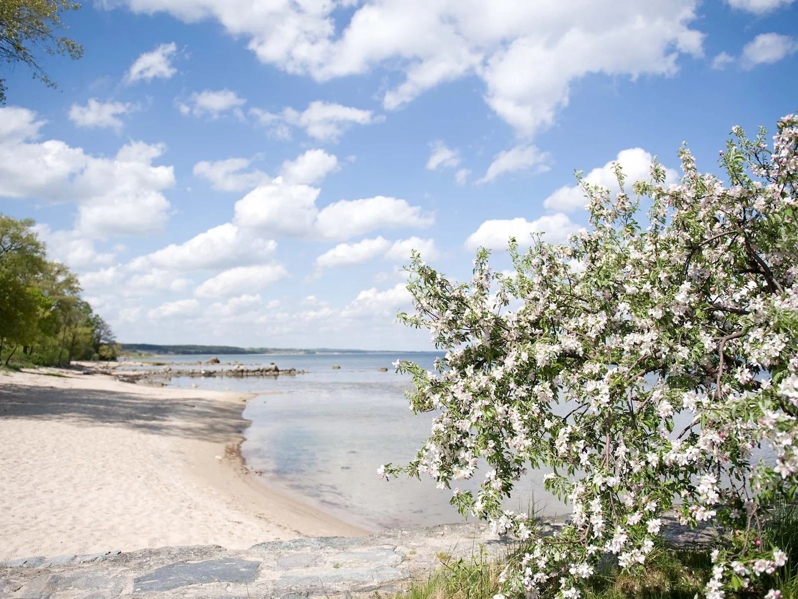 STF Kivikstrand Badhotell – bild 2 av 5