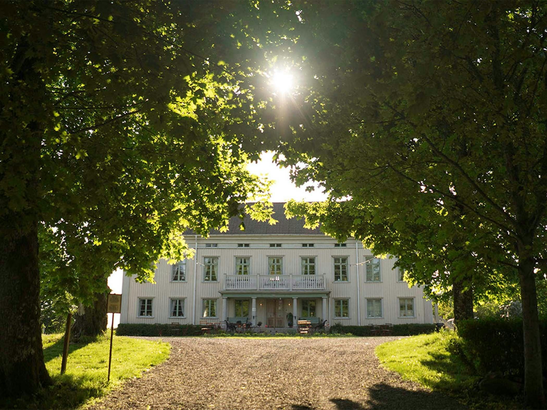 White mansion building in backlight behind tree alley.