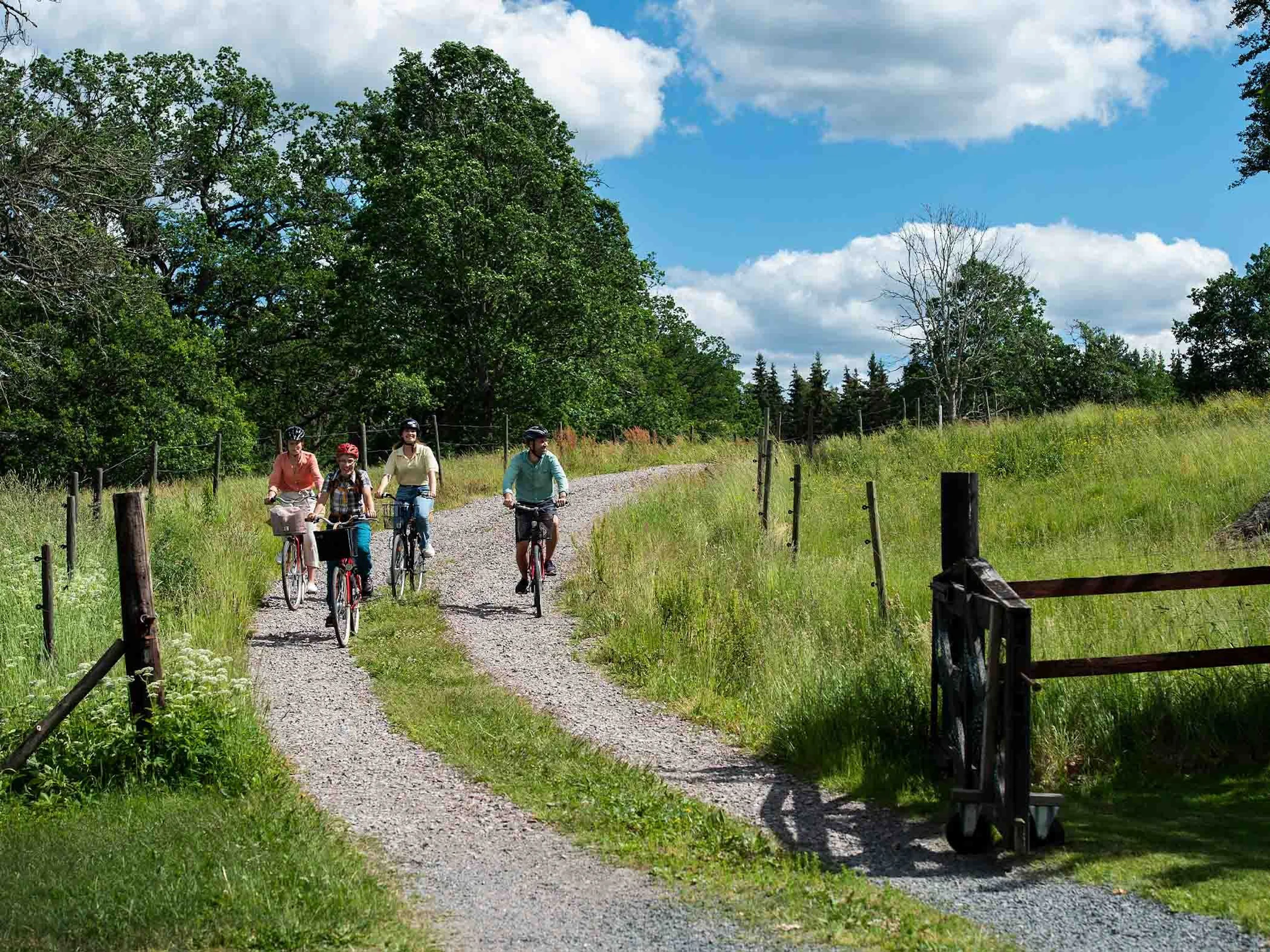 Fyra cyklister på en grusväg genom grönt landskap.