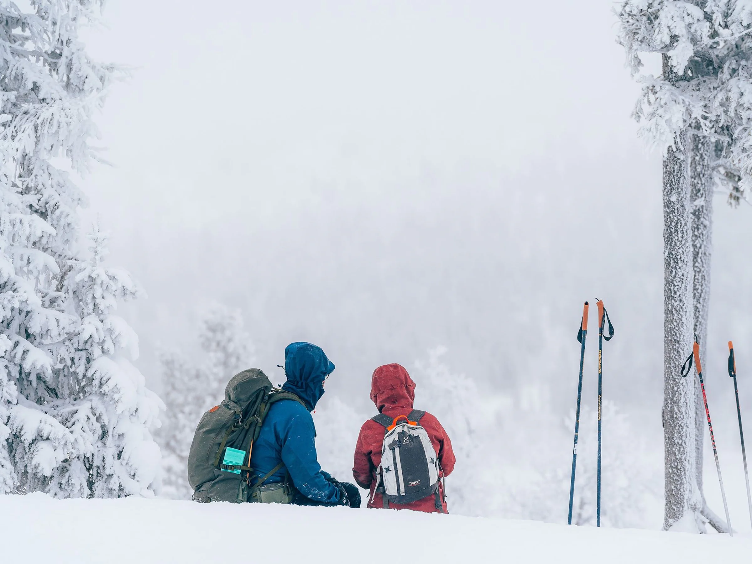 Two skiers in a snowy forest.