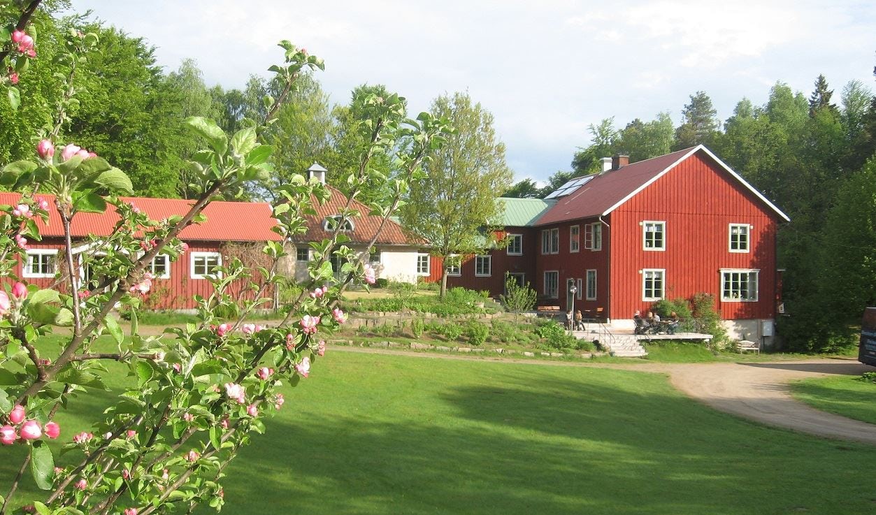 Bo Et år I Usa Med Barn