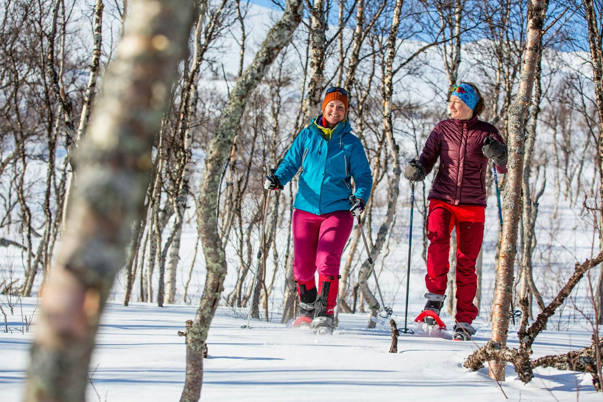 snowshoe hike