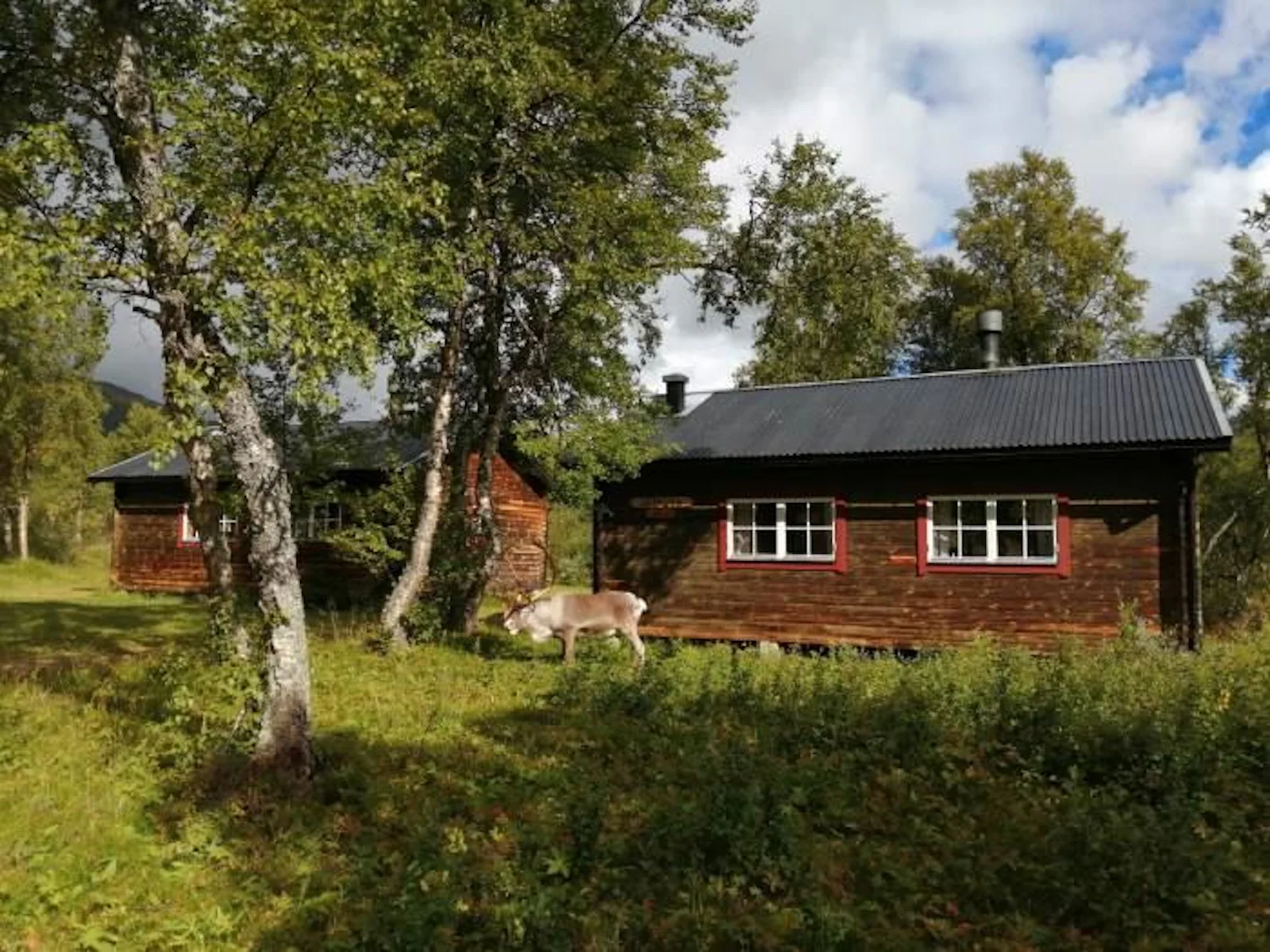 STF Fjällhornet Resort Ljungdalen – bild 4 av 5