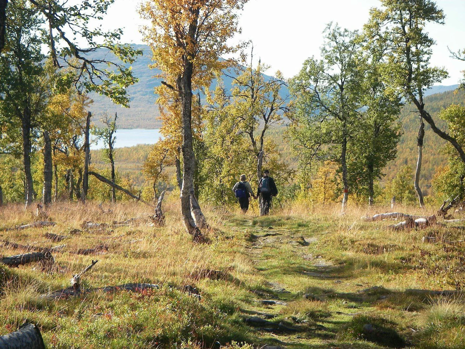 STF Hemavan Fjällstation – bild 4 av 5
