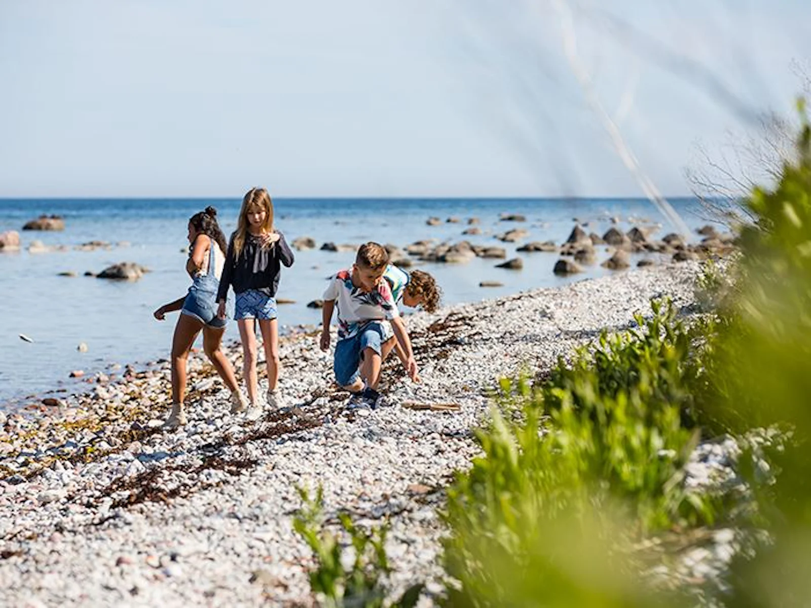 STF Visby Rävhagen Vandrarhem – bild 4 av 5