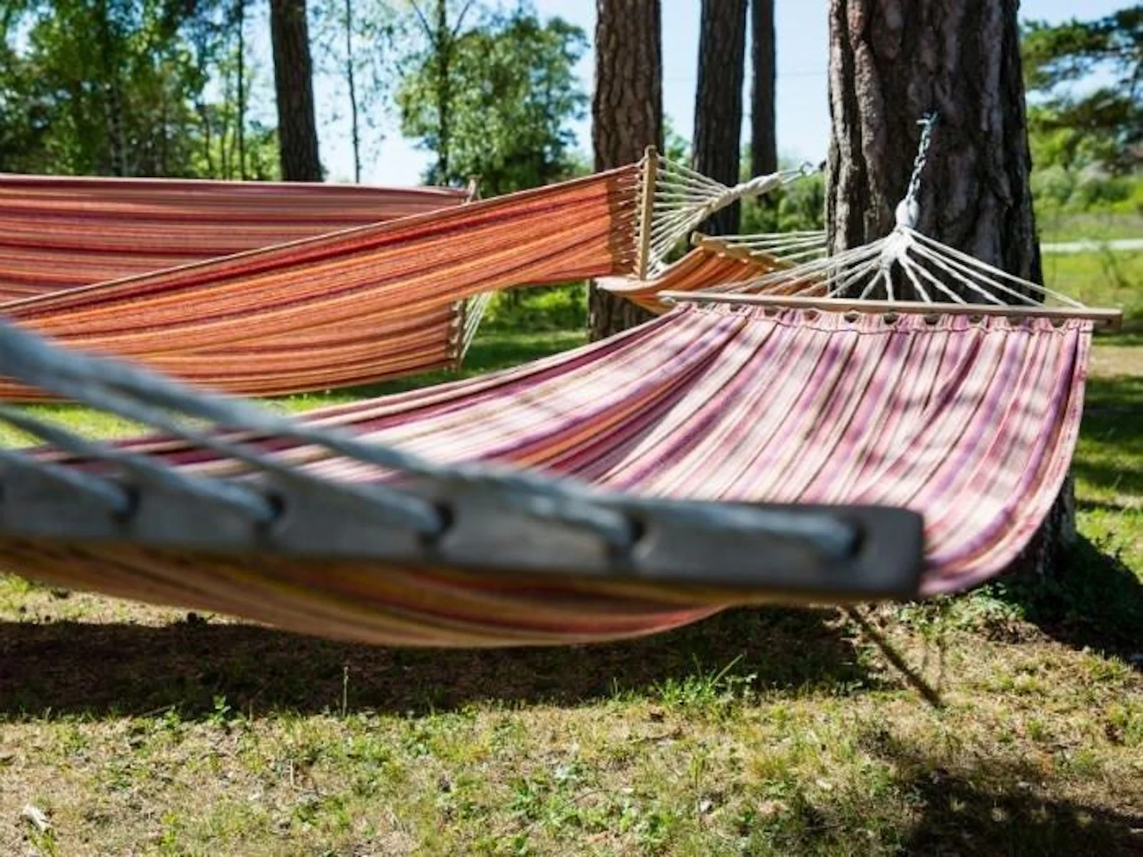 STF Lärbro/Grannen Vandrarhem – bild 5 av 5