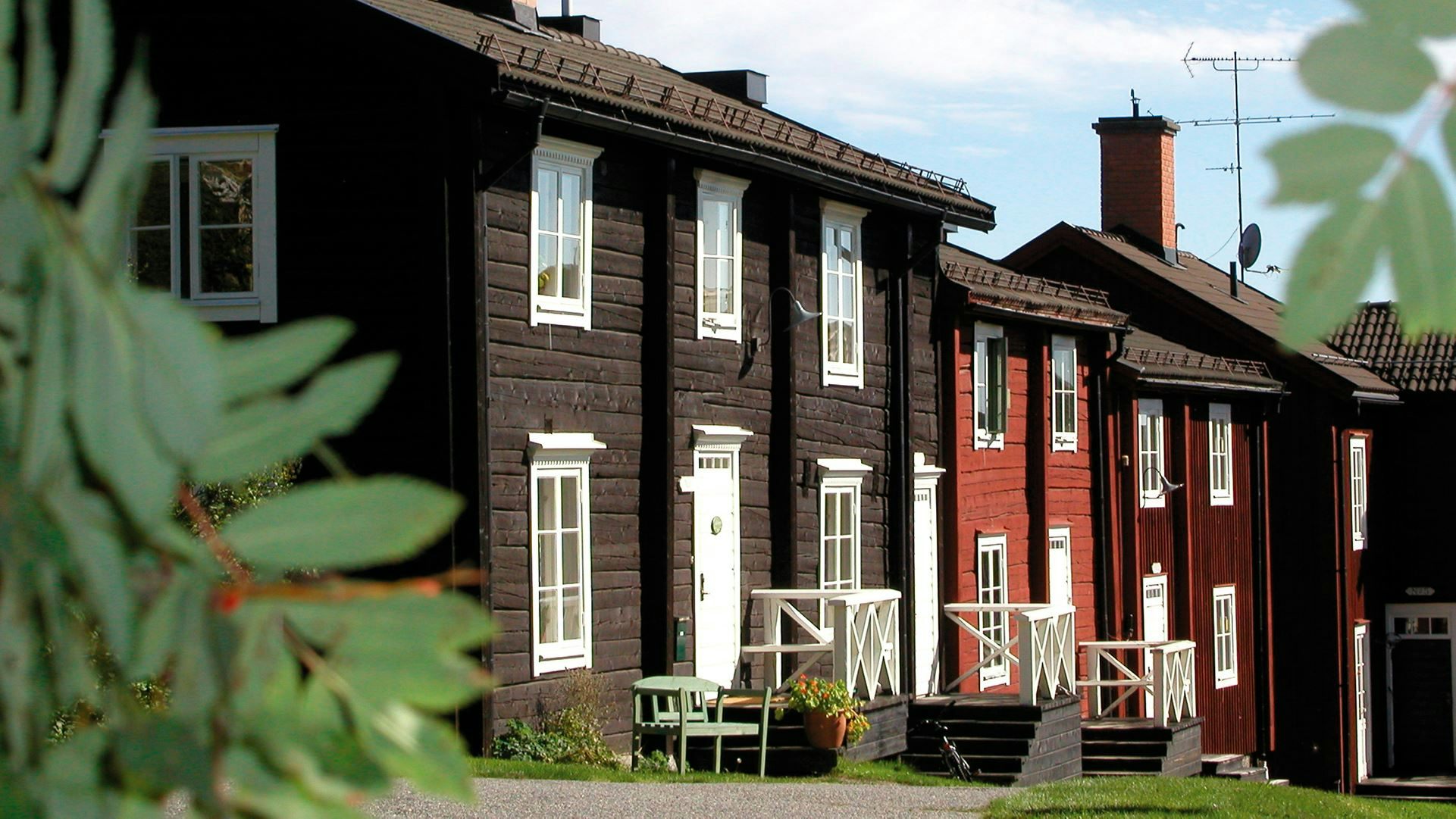 Traditionella trähus i olika röda nyanser i en rad längs gatan, med grönska i förgrunden.