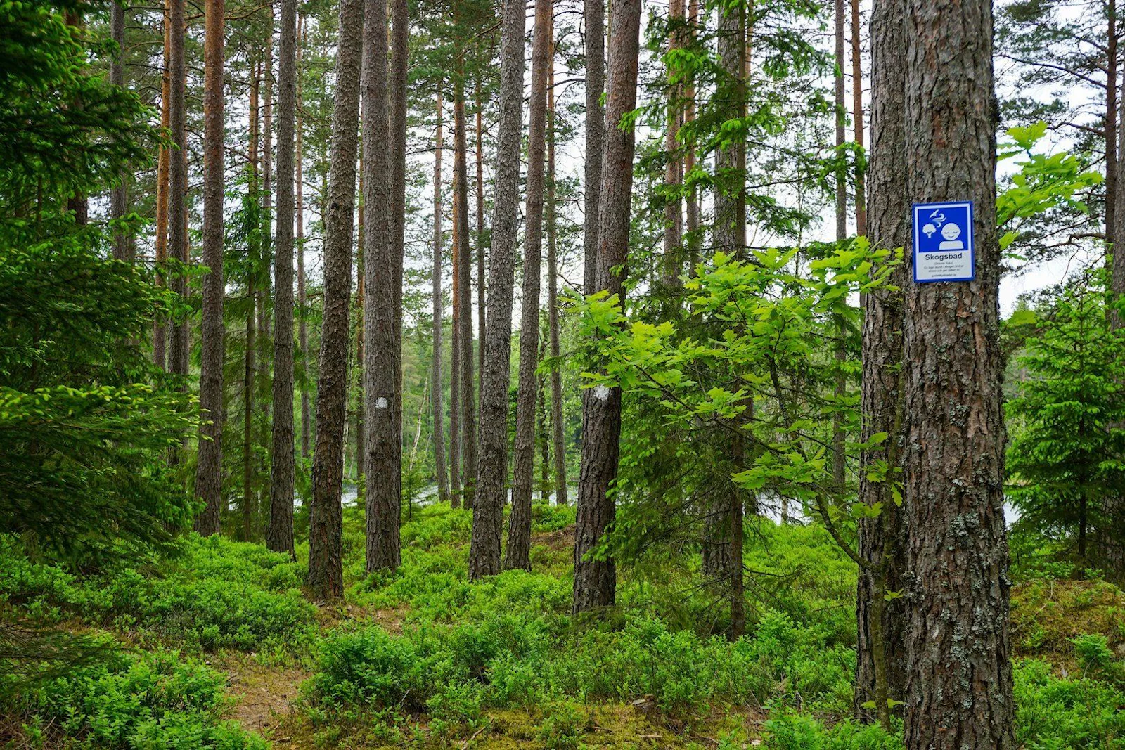 STF Gnosjö Vandrarhem – bild 5 av 5