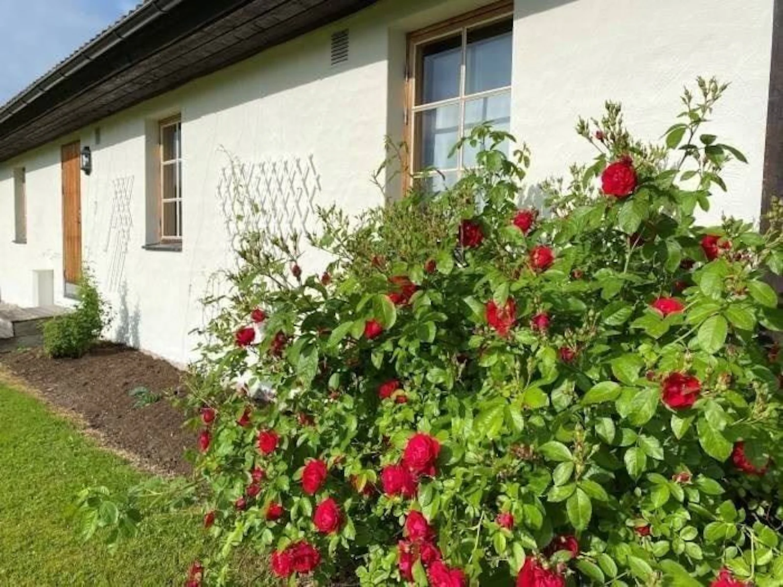 STF Medskog Vandrarhem – bild 4 av 5