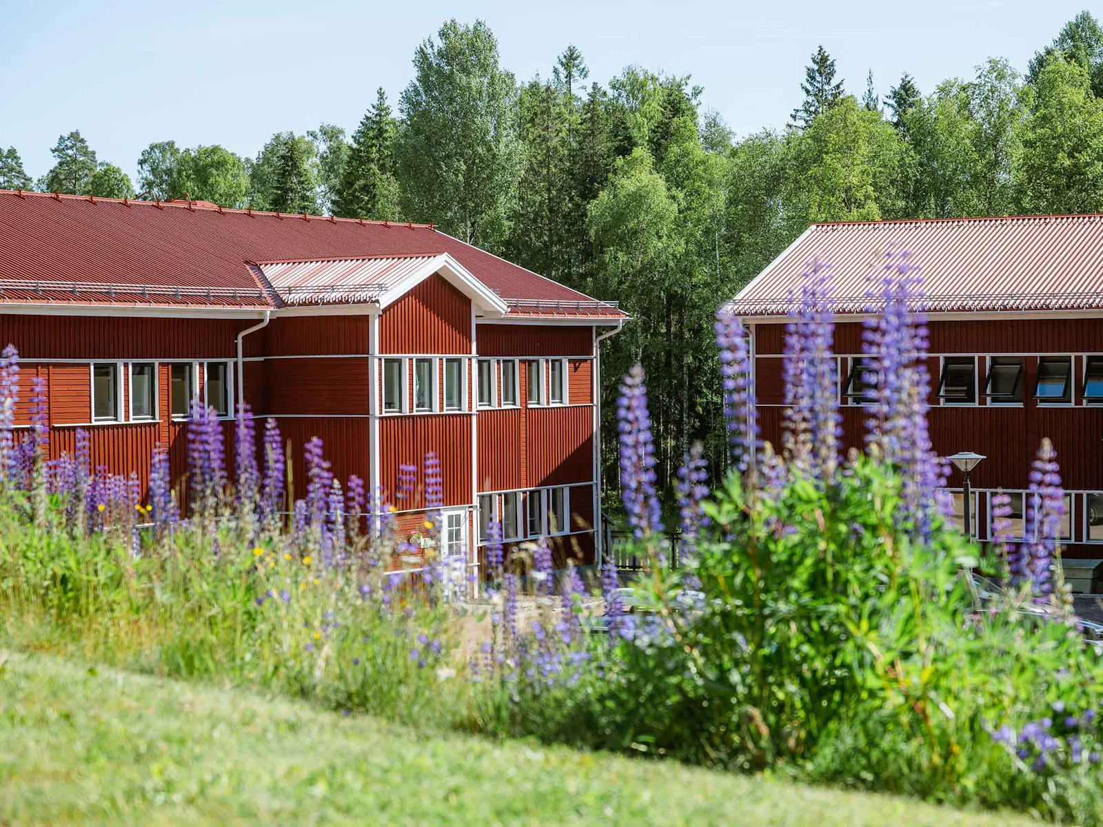 STF Torsby Valbergsängen Sporthotell & Vandrarhem – bild 4 av 5