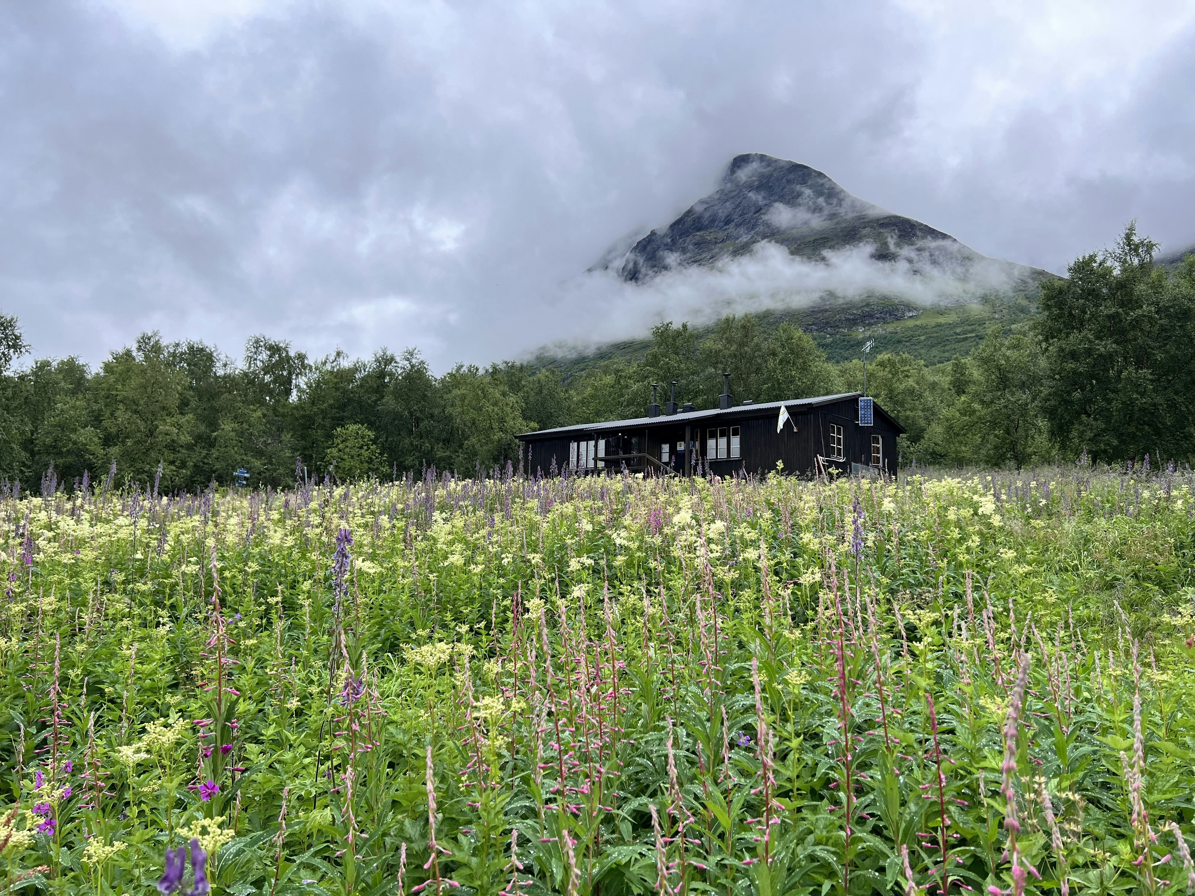 Fjällstuga i trä med vandrare utanför, omgiven av blommande sommaräng och grönskande bergssidor.