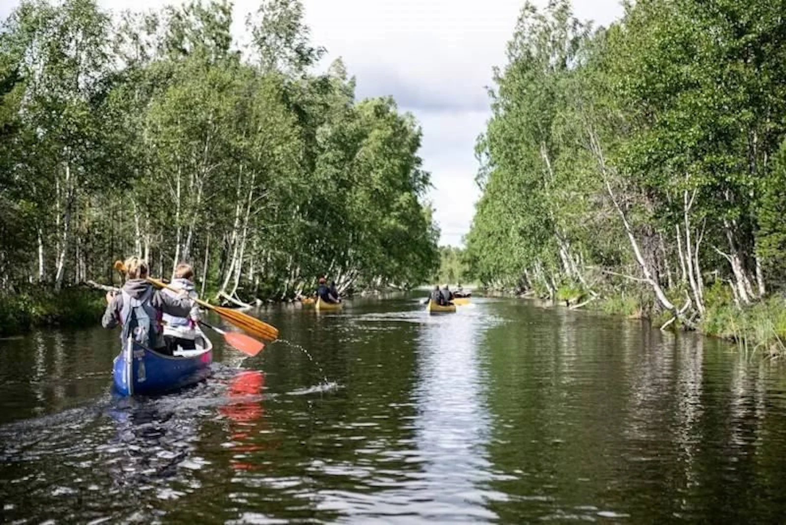STF Fågelsjö/Gästis Vandrarhem – bild 5 av 5