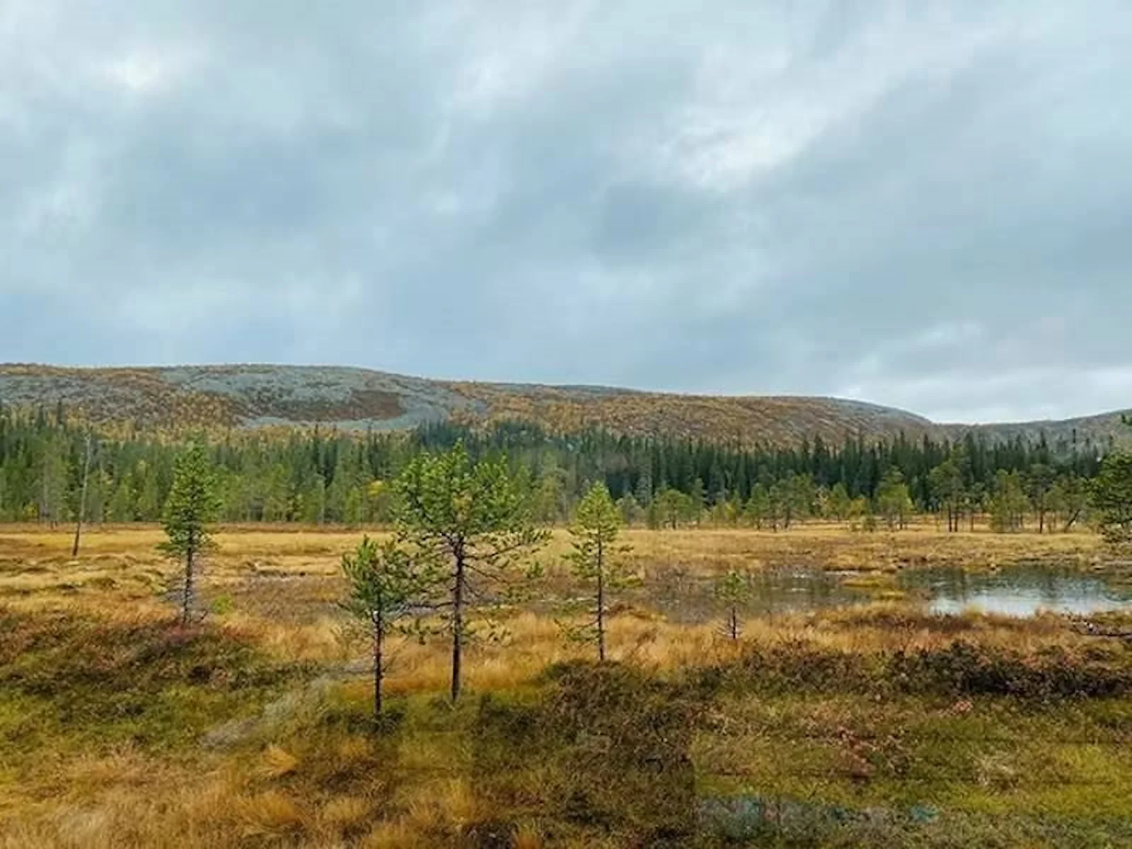 STF Fulufjällsgården – bild 5 av 5