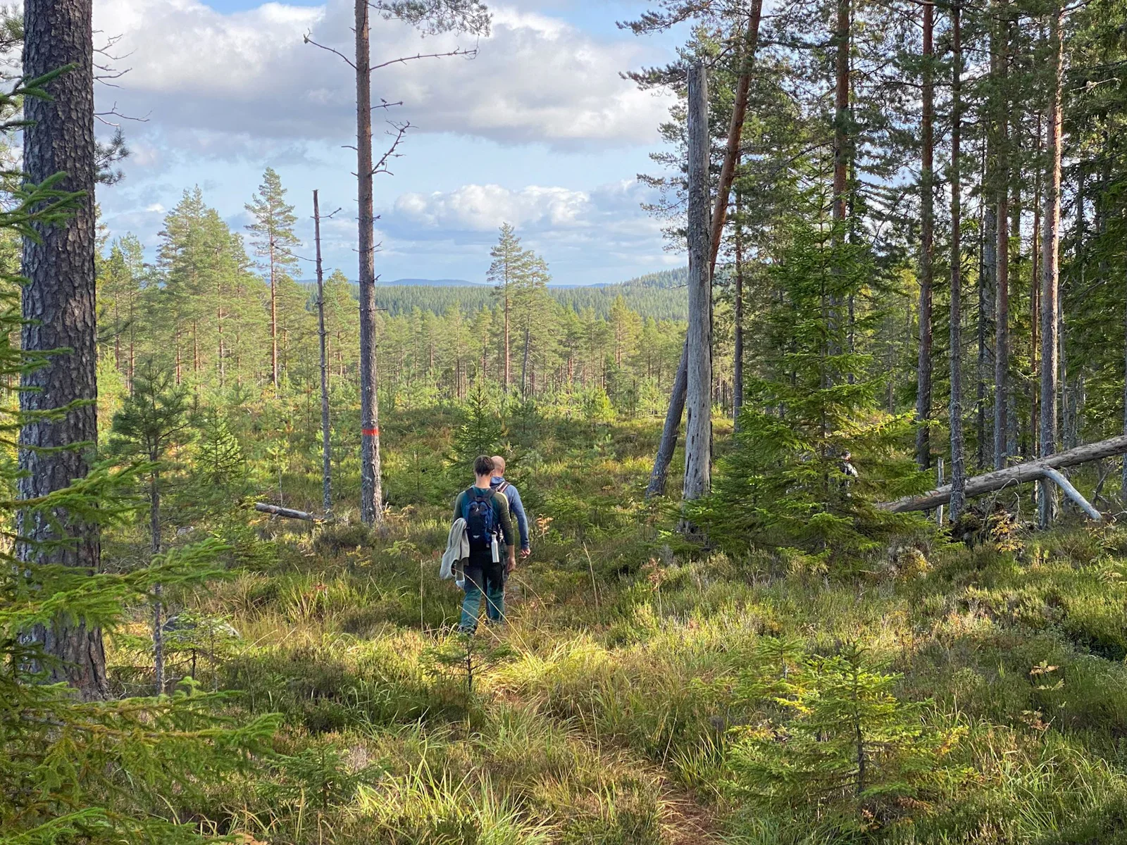 STF Malingsbo Herrgård – bild 2 av 5