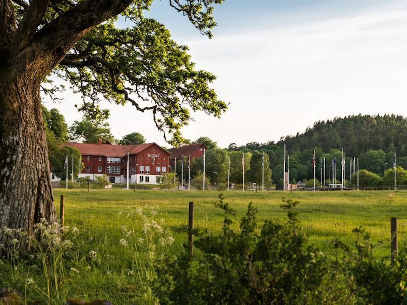 STF Nordens Ark – bild 3 av 5