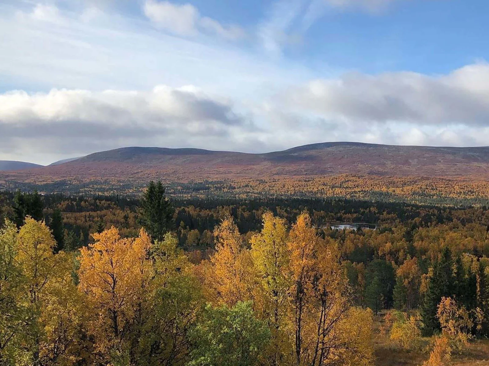 STF Skarvruets Högfjällshotell Tänndalen – bild 2 av 5