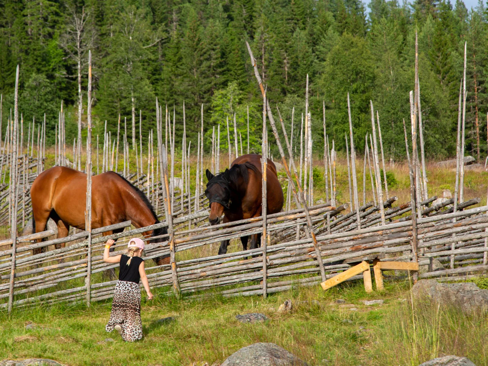 STF Ransbysätern – bild 4 av 5