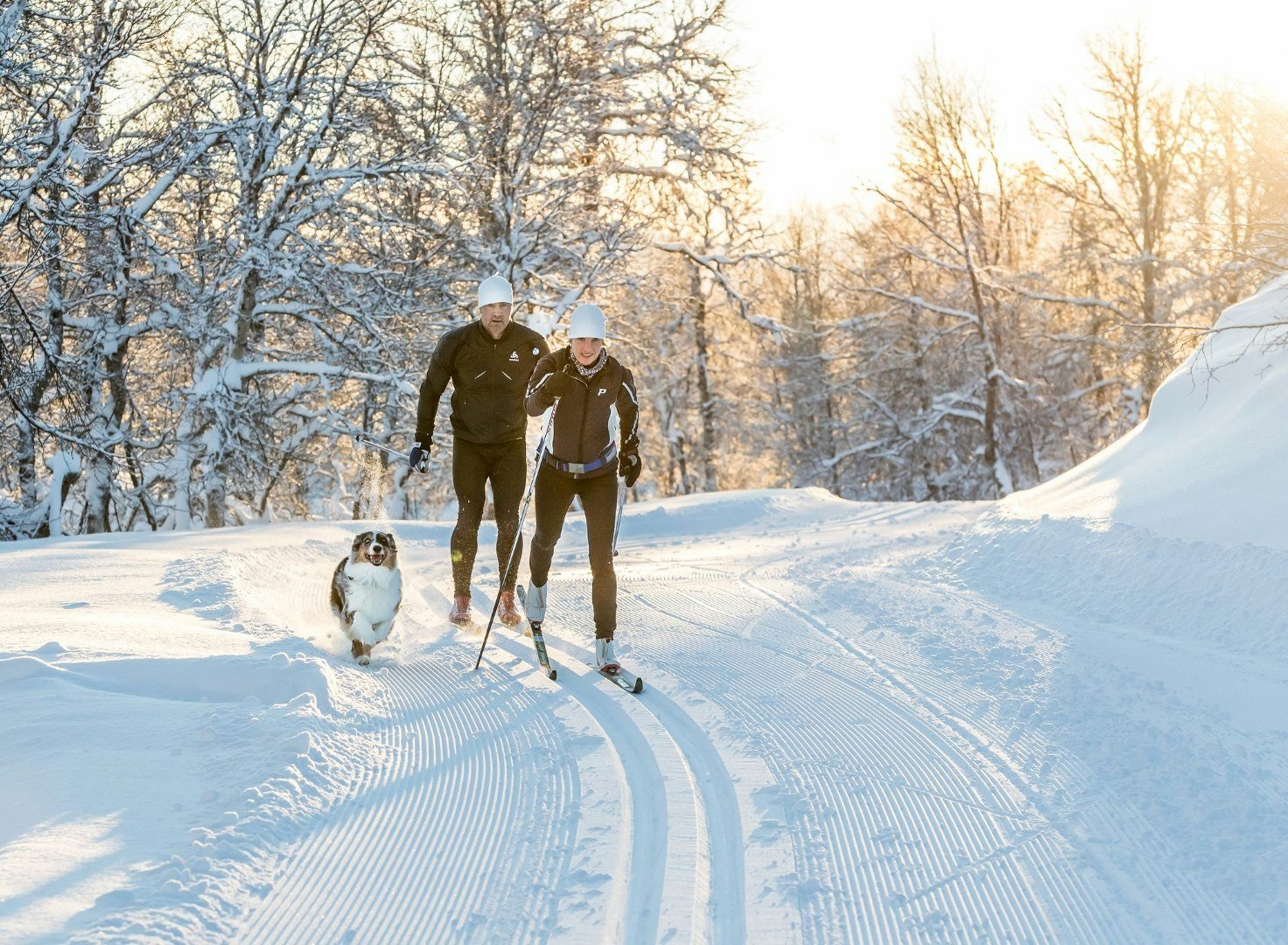 Längdskidåkning i Bruksvallarna Svenska Turistföreningen