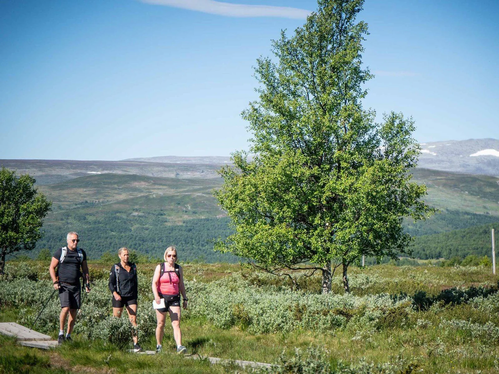 STF Hotell Funäsdalen – bild 4 av 5